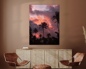 Pink Sky Palm Trees by Ward Jonkman