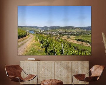 Chemin de ferme à travers les vignobles avec le paysage mosellan en arrière-plan. sur Reiner Conrad