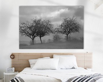 mystical trees