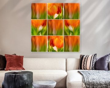 Tulpen-Collage | A