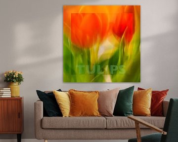 Tulpe | mit Text