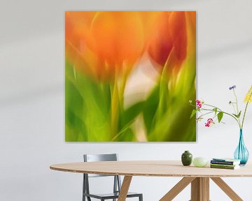 Tulipes | Atmosphère