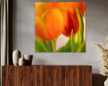 Tulpen | close van Rob van der Pijll