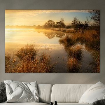 Ochtendnevel boven een meertje in het bos van Wilko Visscher