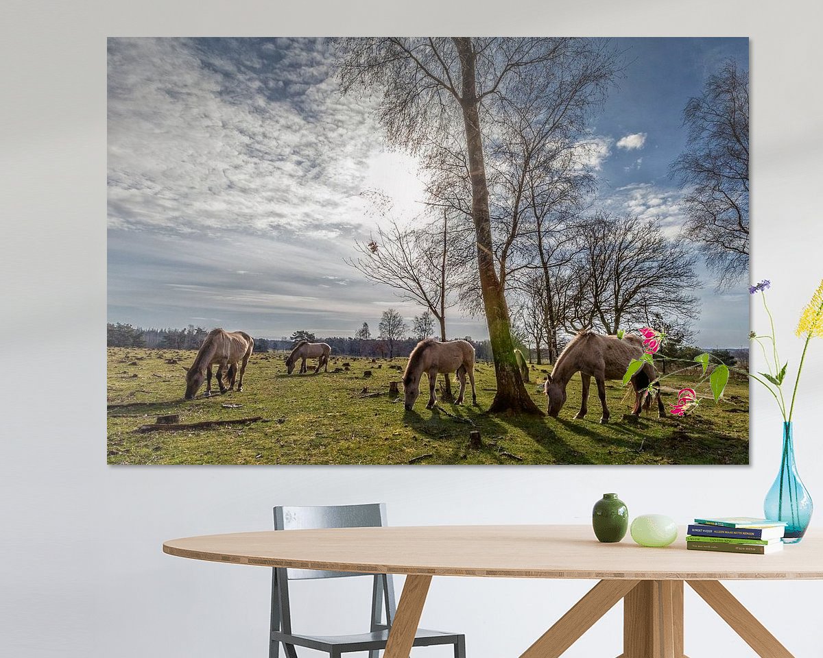 Voorbeeld van het werk in een kamer