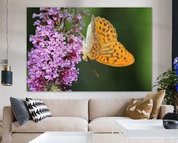 vlinder op vlinderstruik von Vincent Oostvogel