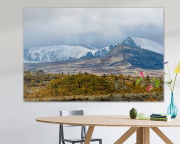 Landschaft Norwegen von Harry Punter