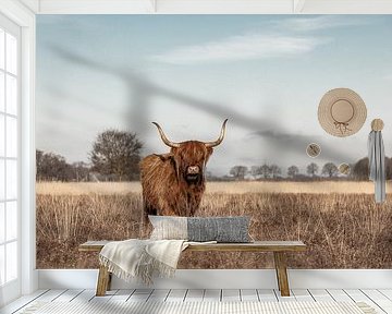 Scottish highlander cow on the heath