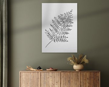 Fern leaf (Black and white) by Bianca ter Riet