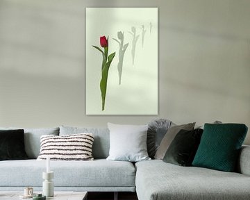 THE tulip by Klaartje Majoor