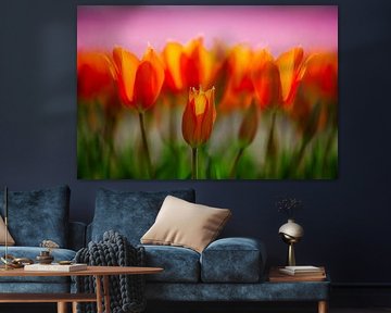Flower bulb fields by Henk Leijen