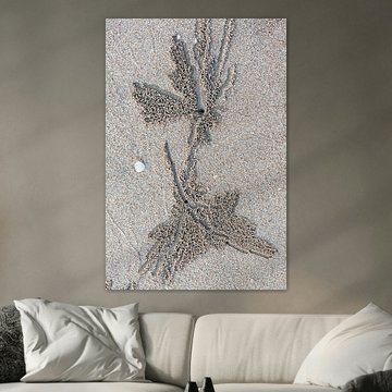 Art at low tide on the beach, made by mother nature.