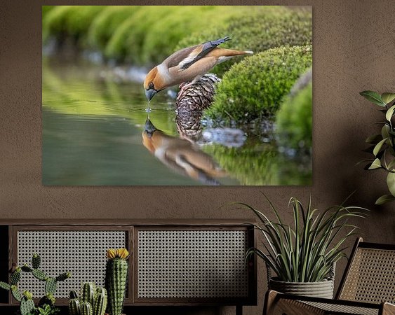 Aperçu de la chambre