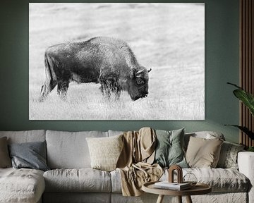 Wisent by Esther Bakker-van Aalderen