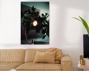 Mooi lampje met een plant er achter met een schilderij op de achtergrond van Bram van Egmond