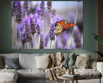 Monarchvlinder op lavendelbloem van Carolina Reina
