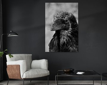 Portret van een raaf in zwart-wit - Adembenemende natuur van Carolina Reina
