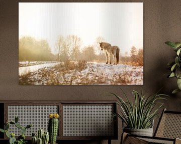 Horse in nature by Leora Kalisvaart