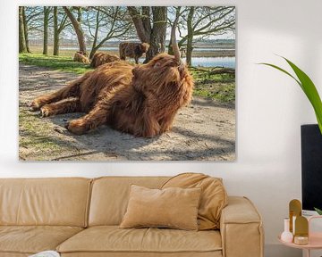 Scottish Highlanders