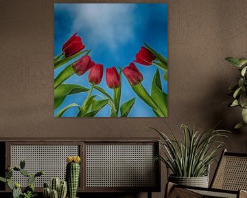 Tulpen von unten... von Klaartje Majoor