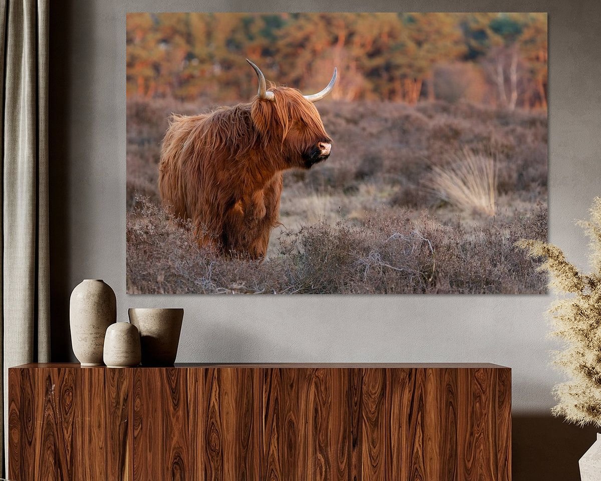 Raumvorschau