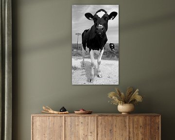 Pink op kwelder. by Foto EVC