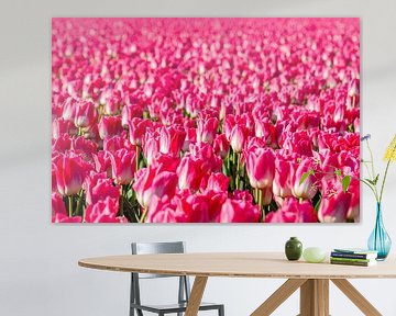Tulipfield avec des tulipes roses. sur Albert Beukhof