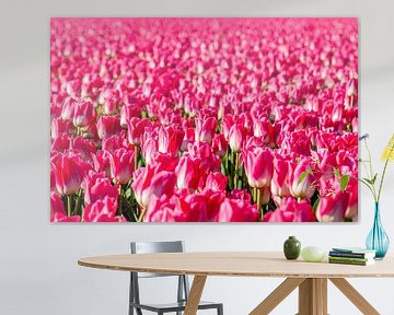 Tulipfield with pink tulips. by Albert Beukhof