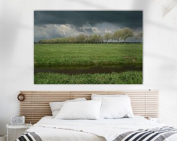 Bomenrij. by Foto EVC