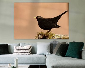 Black Bird by DroomGans