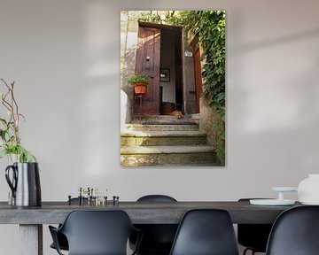 Holiday cat in the doorway at an agriturismo in Italy near Pisa by Christa Stroo photography