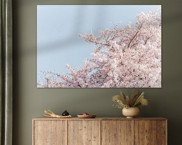 Blossom sur Myrthe Vlasveld