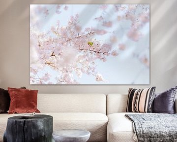 Blossom sur Myrthe Vlasveld