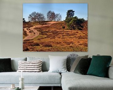 Path through the heath