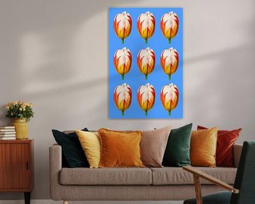 Tulpen in patroon van StudioMaria.nl