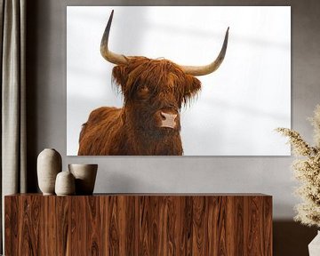 Porträt einer schottischen Hochlandrinderkuh von Sjoerd van der Wal