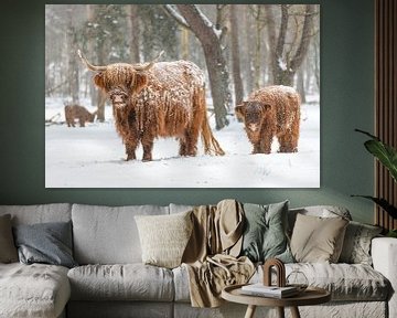 Portrait of a Scottish Highland cattle cow and calf in the snow by Sjoerd van der Wal Photography