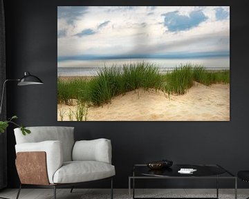 View from the dunes on the sand beach of the North Sea shore by Sjoerd van der Wal Photography