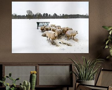 Schafe auf einer schneebedeckten Wiese in einer Winterlandschaft von Sjoerd van der Wal Fotografie