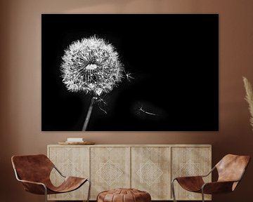 Paardebloem pluis Dandelion van Jessica Berendsen