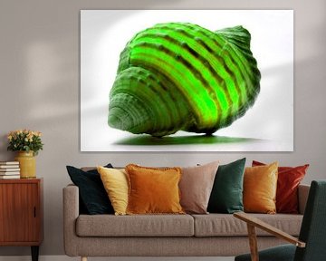 Shell in Green by De Rover
