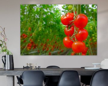 Verse rijpe tomaten aan tomatenplanten van Sjoerd van der Wal