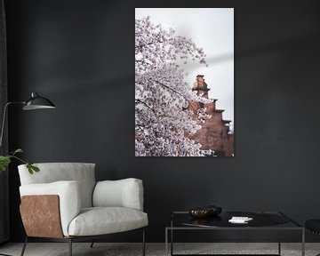 Blossom in Zwolle by S van Wezep