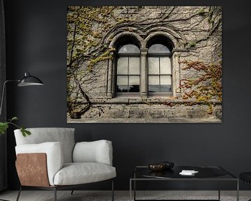 Fenster mit Kletterpflanzen vor einem verfallenen und baufälligen Schloss von Art By Dominic