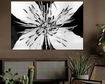 weiße Blume in schwarz und weiß von Klaartje Majoor