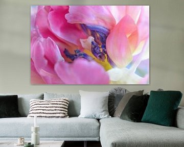 Tulp roze en paars van Kim Hiddink