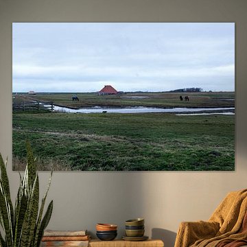 Paysage de fermiers, Pettemerpolder Hollande du Nord