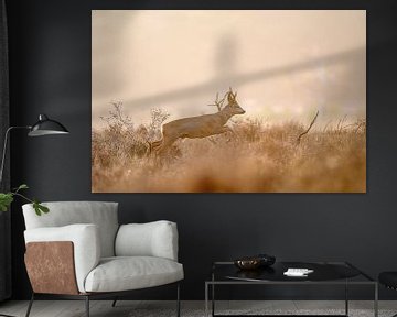 Springende Hirsche von Andy van der Steen - Fotografie