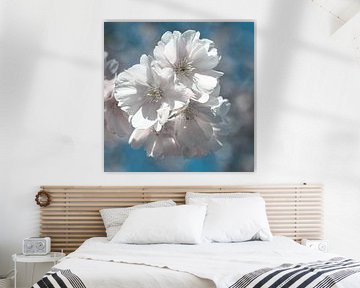 Macro bloesem witte kersenboom in de lente met bokeh van Dieter Walther