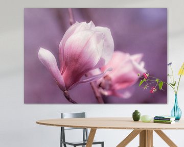 Magnolia bloesem in lente macro met bokeh van Dieter Walther